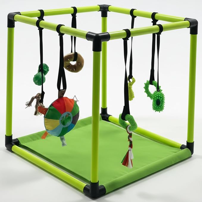Race&Herd 19.5" Puppy Play Gym — Small Dog Jungle Activity Mat (Lime) | Dog Play Mat with 8 Bungee Straps, Interactive Puppy Active Toys — Indoor Enrichment Playground Set