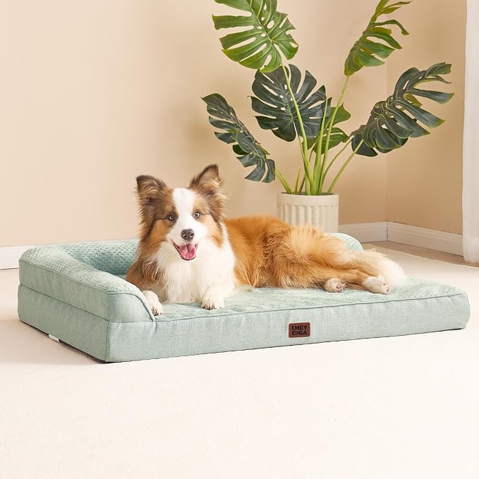 EHEYCIGA XXL Dog Bed Memory Foam, Orthopedic Giant Dog Bed Jumbo with Washable Removable Cover, Waterproof Pet Sofa Couch with Nonskid Bottom, 48x35x7.5, Greyish Green | Washable Removable Cover, Waterproof Flat Pet Sofa Couch with Nonskid Bottom, 48x3...