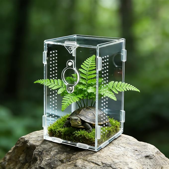 Acrylic Jumping Spider Enclosure,Reptile Enclosure,Bug Habitat, for Small Tree Dwelling Reptiles,Arboreal Tarantula Enclosure, Spider Terrarium Kit,Plastic Terrarium(4.7" X 4.7" X 8")