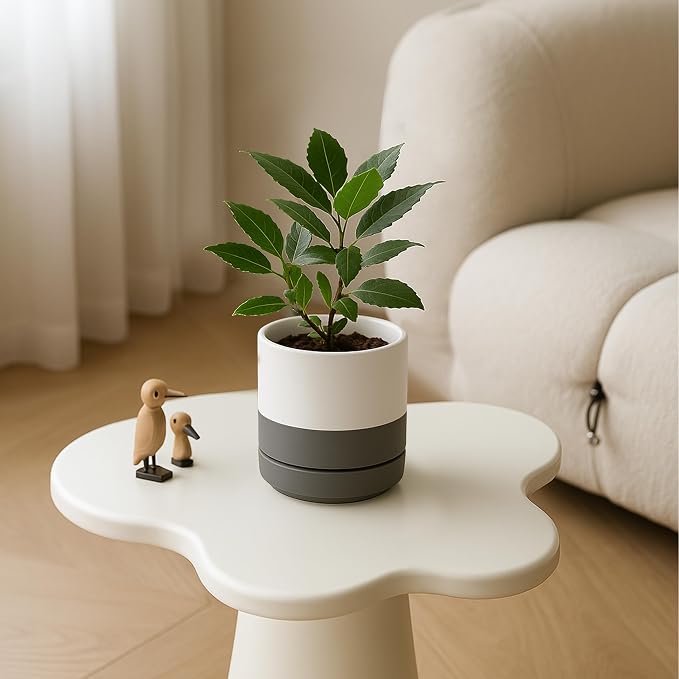 D'vine Dev 4.7 Inch Ceramic Planter Pot, White Grey, 94-O-B-6 | Modern Cylinder Design, Drainage Hole & Saucer Included, Stable Structure, Elegant Home Accent