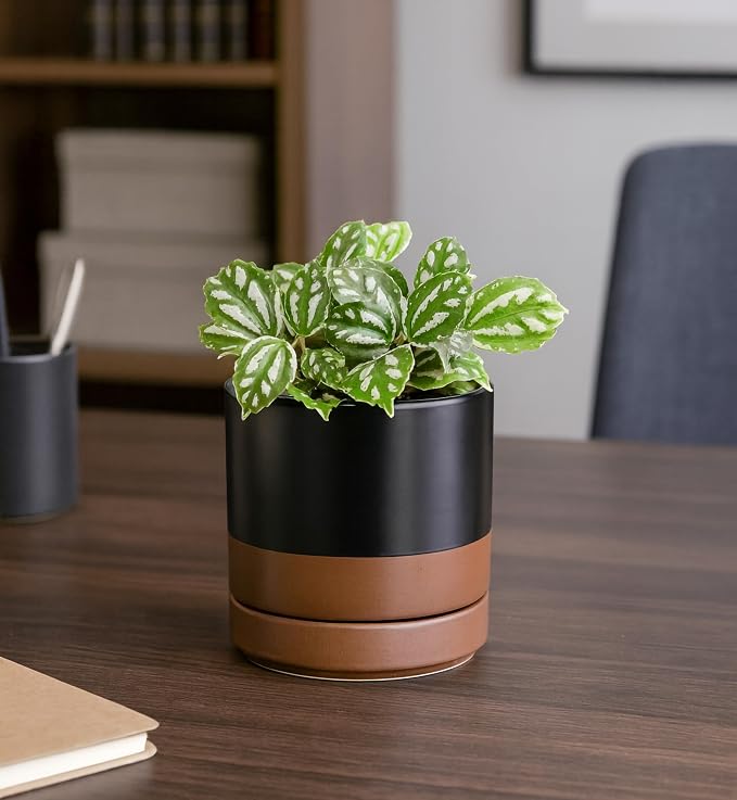 D'vine Dev 4.7 Inch Ceramic Planter Pot, Black/Tan, 94-O-B-7 | Modern Cylinder Design, Drainage Hole & Saucer Included, Stable Structure, Elegant Home Accent