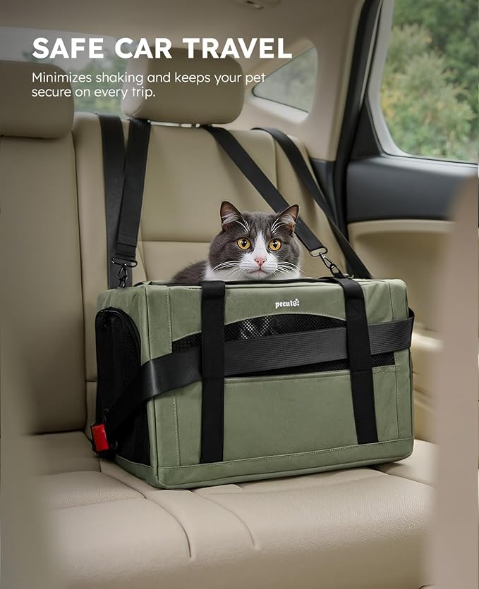 Pecute Cat Carrier Stable, Pet Carrier with Privacy Partition,Green | Safe For Car Travel, Stable Steel Frame, Soft-Sided Pet Carrier Bag For Dogs And Cats Up To 11lbs, Foldable Design.