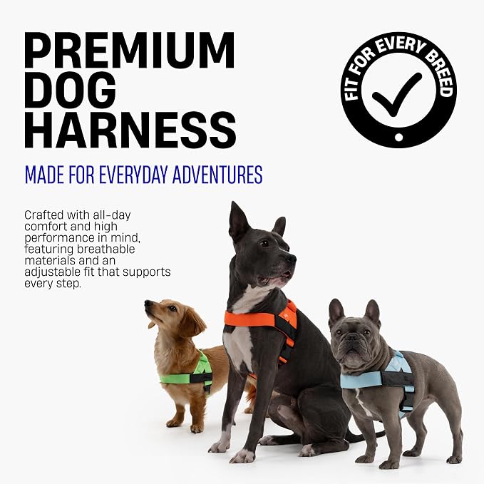 Dog Friendly Co. Dog Harness for Large Dogs (Neon Green, Large) | One Click Buckle, Chafe Resistant Webbing, Adjustable Neck & Chest, and Heavy Duty D-Ring, Sturdy Comfortable and Easy to Use