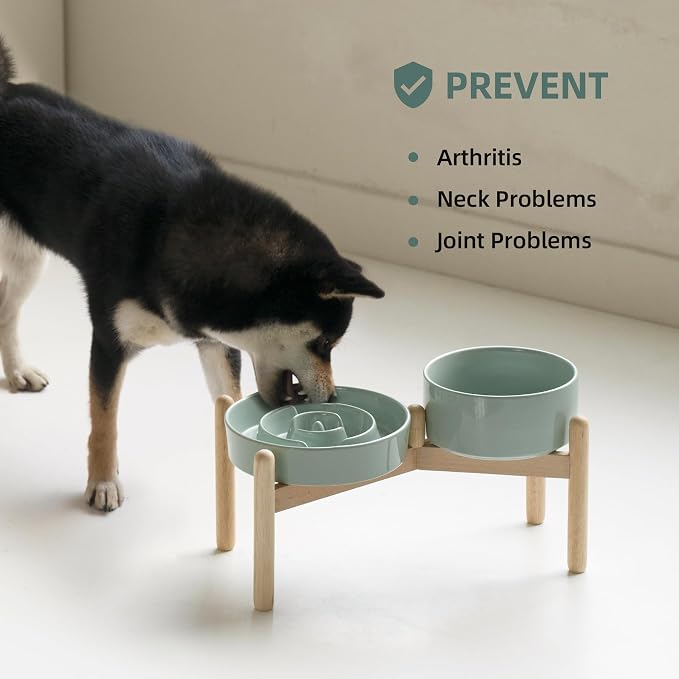 Havniva Elevated Slow Feeder Dog Bowls, Ceramic Dog Bowl Slow Feeder Set | 1.2 Cups Raised Slow Feeder Dog Bowl for Small Breed, 6.1” Dog Water Bowl with Wooden Stand, Puzzle Dog Food Bowl, Non-slip