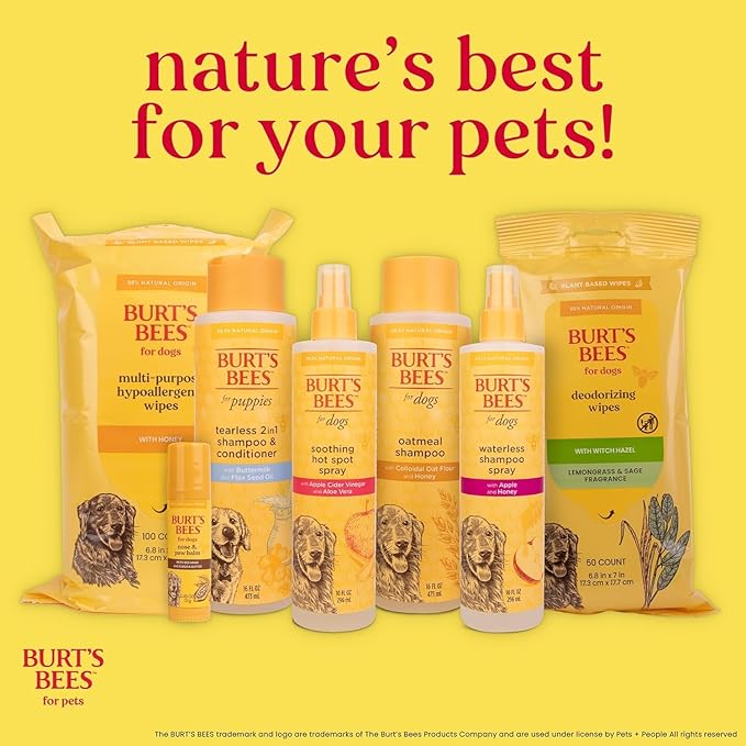BURT'S BEES FOR PETS Hot Spot Spray with Apple Cider Vinegar and Aloe Vera for Itchy Dogs, 95% Natural Origin Formulas, Itchy Skin Relief, 10 Fl Oz