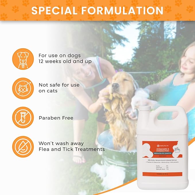Healthy Paw Life Antiparasitic & Antiseborrheic Dog Shampoo - Sulfur, Salicylic Acid and Oatmeal - Dry, Itchy, Hot Spot, Dermatitis (1 Gal)