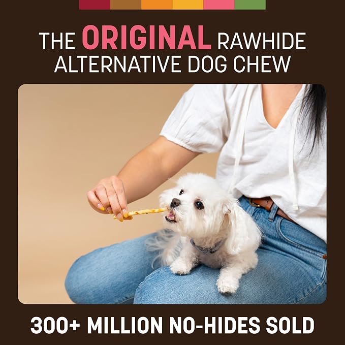Earth Animal No Hide Stix - Rawhide Free Dog Chews Sticks 20 Count Salmon | Small Sticks Salmon Flavored Natural Rawhide Free Long Lasting Dog Chews - Treats for Small Dogs and Cats