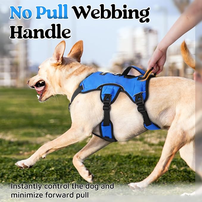 rabbitgoo Escape Proof Dog Harness for Medium, No Pull with Lift Handle | No Escape, Full Soft Padded, Reflective Adjustable Vest, Leash Clip for Walking Hiking Training, Blue, Medium