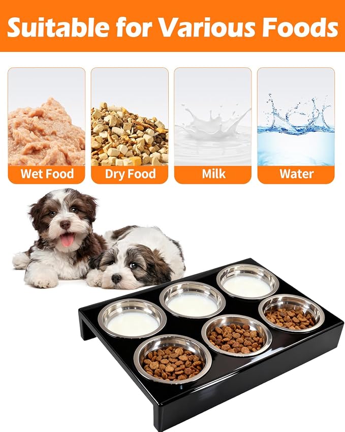 Puppy Feeding System 6 Litter Multiple Dog Bowl Feeder with Metal Stand Puppy Feeder Station, Weaning Dish Puppy's Feeding Ideal for Breeders, Litters & Weaning
