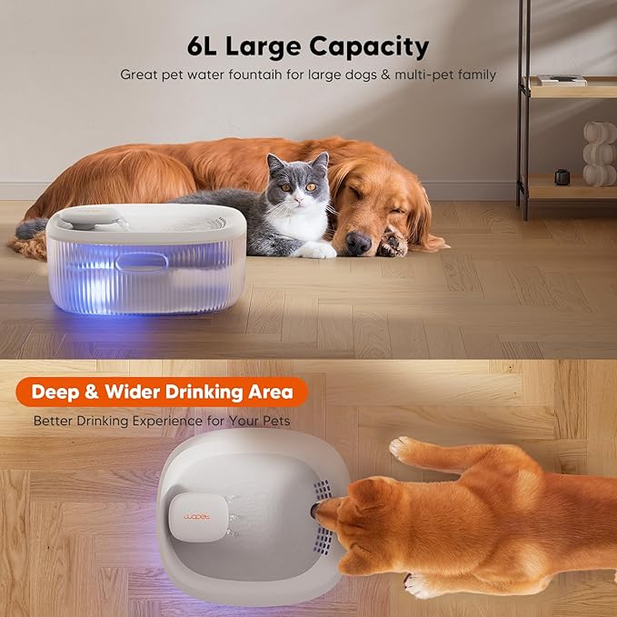 WOPET Dog Water Fountain for Large Dogs, 6L/205oz/1.6Gal Automatic Dog and Cat Water Fountain, Pet Water Dispenser with 2 Filters, Ultra-Quiet Pump, Great for Large Dogs Cats and Multi-Pet Home