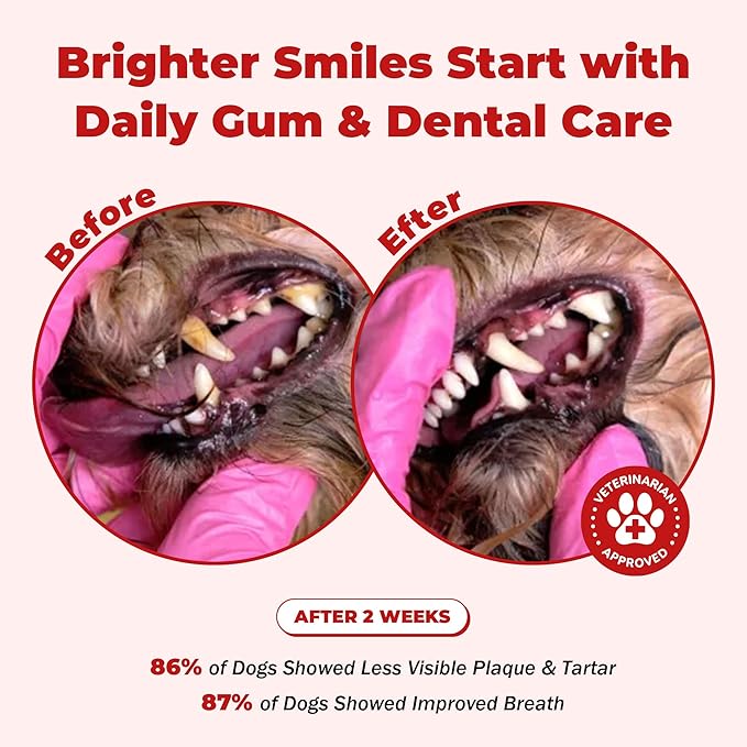 Dog Dental Care – Relieves Gingivitis – Inhibits Plaque and Tartar Buildup, Protects Gum Health, and Relieves Bad Breath and Bleeding Gums, Natural Plant Extracts, 120 Easy-to-Swallow Tablets