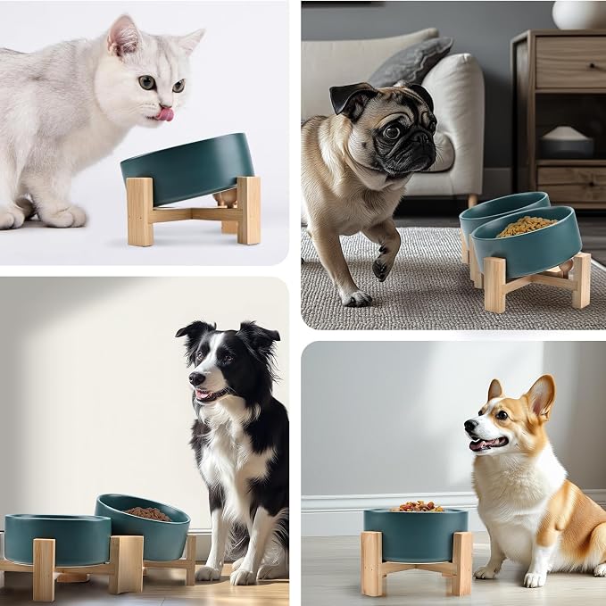 SPUNKYJUNKY 15° Slanted Ceramic Dog and Cat Bowl with Wooden Stand, Tilted Bulldog Food and Water Bowl No Slip Non-Spill for Cats Medium Dogs Big Face Pets 28.7 OZ (3.6 Cups, Green)