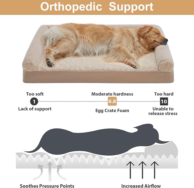 BFPETHOME Orthopedic Washable XXL Dog Bed for Senior Dog Cozy Sleep | Extra Large Waterproof Big Soft Pet Couch Bed for Dogs Relax with Removable Cover Supportive Egg Crate Foam Beige 48x35 Inch