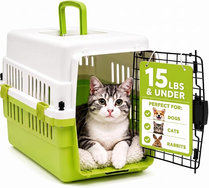 Hard-Sided Pet Carrier for Cats and Small Dogs, 20" Sturdy Travel Kennel with Secure Wire Door & 360° Ventilation, Portable Plastic Crate for Vet Visits & Car Travel (White/Green)