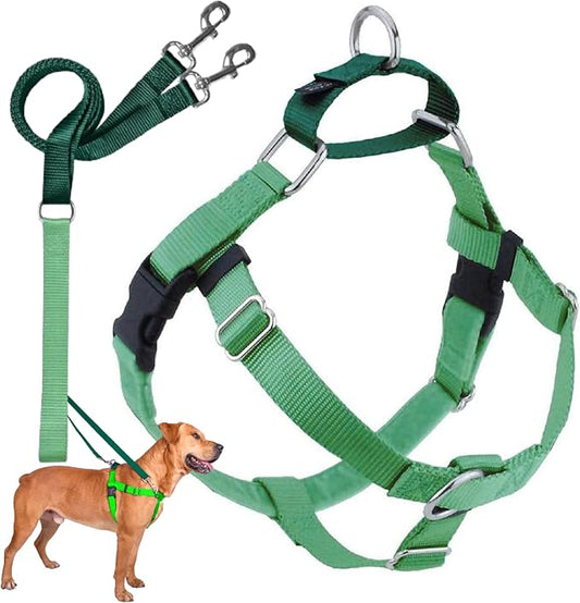 2 Hounds Design Freedom No Pull Dog Harness and Leash, 5/8" SM, Neon Green | Promotes Easy Walking & Comfortable Control, Secure Fit, Adjustable Harness and Leash Set for Small Sized Dogs, Made in USA