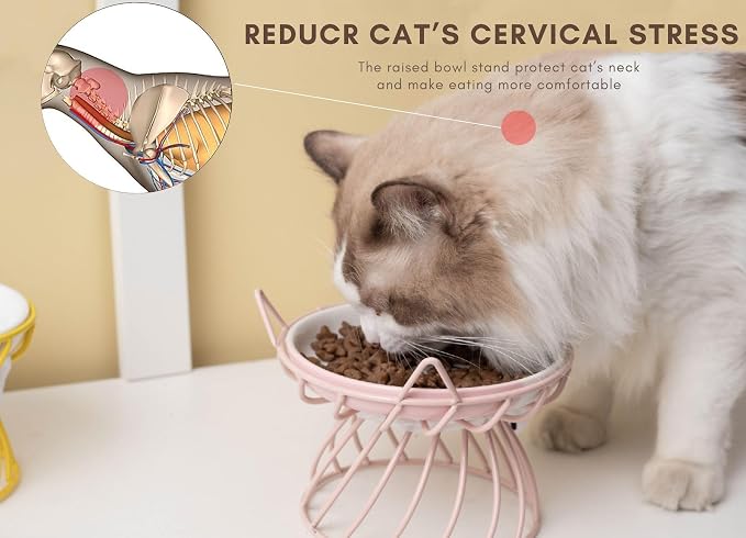 Set of 2 Elevated Ceramic Cat Dishes, Pink & Blue | Pink & Blue Set Detachable Bowls Elevated Design Whisker Friendly Non-Slip Pads