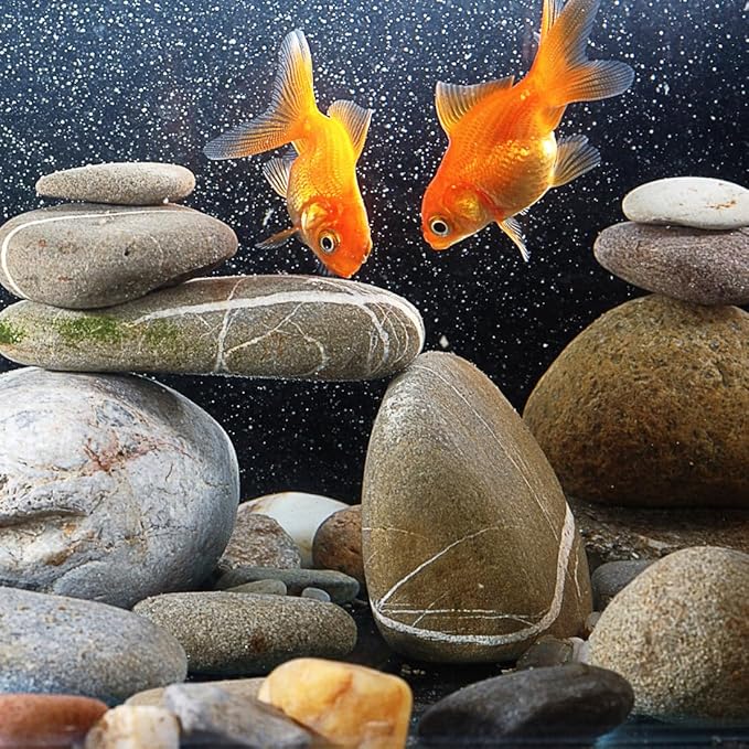 YISZM 40lbs Natural River Rocks, 1-2" Premium Pebbles for Garden and Landscape Design, Hand-Picked Smooth Stones for Fish Tank, Flower Pots, Indoor Water Fountains, Pathways, Backyard