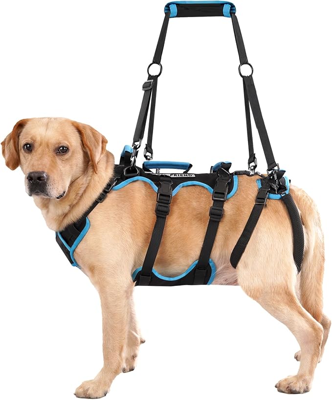Dog Lift Harness for Extra Large Dogs, 2-in-1 Detachable Support Harness, Full Body Carrying with 4 Handles, Dog Sling for Large Dogs Hind Leg Support(Black, XX-Large)