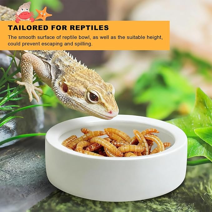 Eiito Reptile Food Bowl,Hermit Crab Lizard Gecko Ceramic Food Dish, 7 Compartments Anti-Turning Bearded Dragon Food & Water Bowl with Small Brush (White)