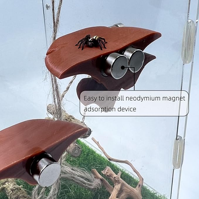 Jumping Spider Mushroom Shelf, Magnetically Concealed Jumping Spider Habitat,Serves As Enclosure Decorate Accessories for Spider Climbing Feeding and Platforms (Brown)