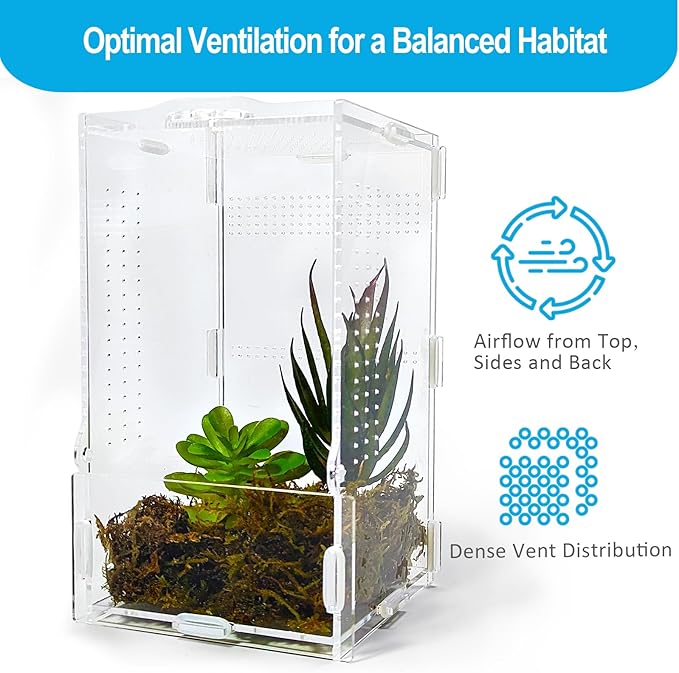 Jumping Spider Enclosure, Arboreal Tarantula Enclosure, Praying Mantis Terrarium Critter Cage for Jumping Spider, Tarantula Slings, Snail, Isopods, Beetles, Millipedes, Springtails