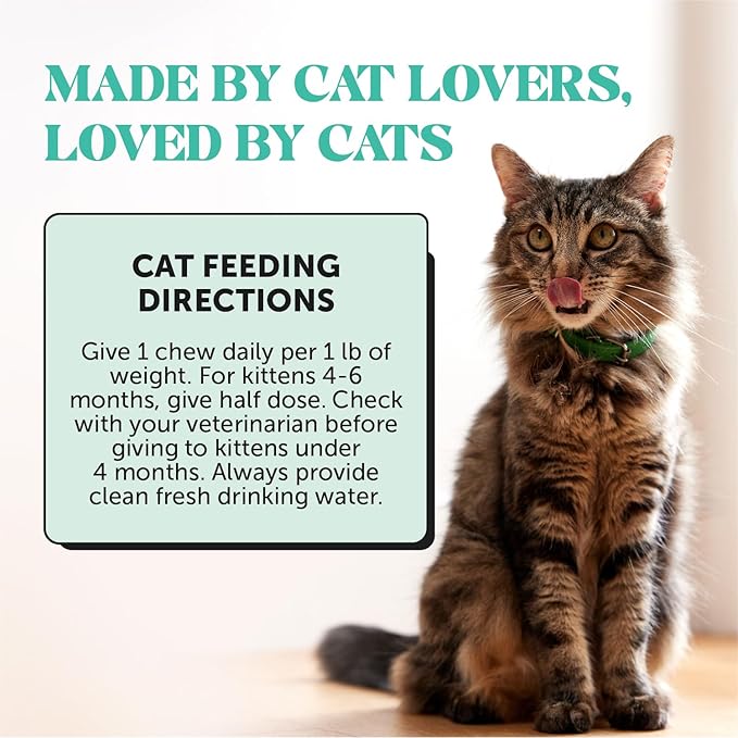 Fresh Breath Dental Bites for Cats – Crunchy & Creamy Cat Dental Treats for Fresh Breath, Tartar & Plaque Control – Dual-Texture Cat Oral Care Bites for Bright Teeth & Healthy Gums – 90 Day Supply