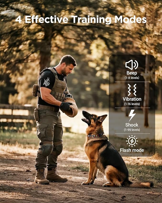 BLACKDOG Military Dog Shock Collar 2 Dogs (5-150lbs) - 4200ft Dog Training Collar with Remote, 4 Training Modes, Flashlight&Strobe, 90-day Battery, IP67 Waterproof Dog E Collar for All Breeds (Orange)
