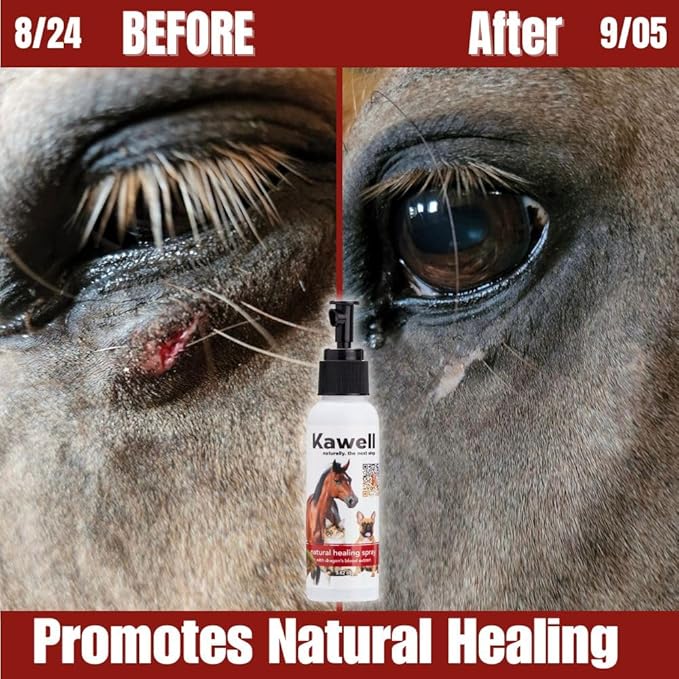 Kawell USA Dragon's Blood Extract Natural Healing Spray for Animal Skin and Wound Care, Healing Ointment & Antiseptic Spray for Injuries, Scrapes, Wounds, Rashes, Bites, and Other Skin Irritations