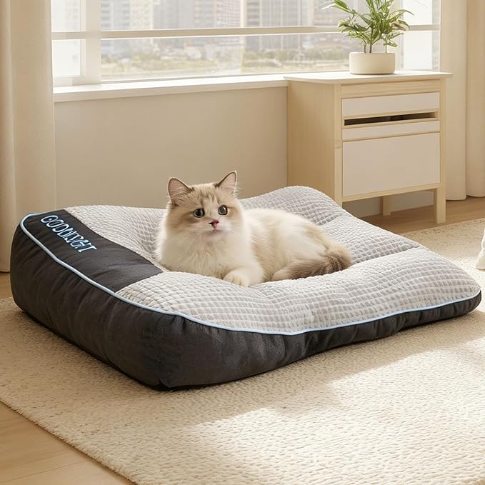 Small Dog Bed 24" x 18" for Small Dogs & Indoor Cats, Washable Calming Pet Bed with Soft Plush Cushion, Non-Slip Bottom, Cozy Puppy & Kitten Bed for Cats and Small Pets, Grey