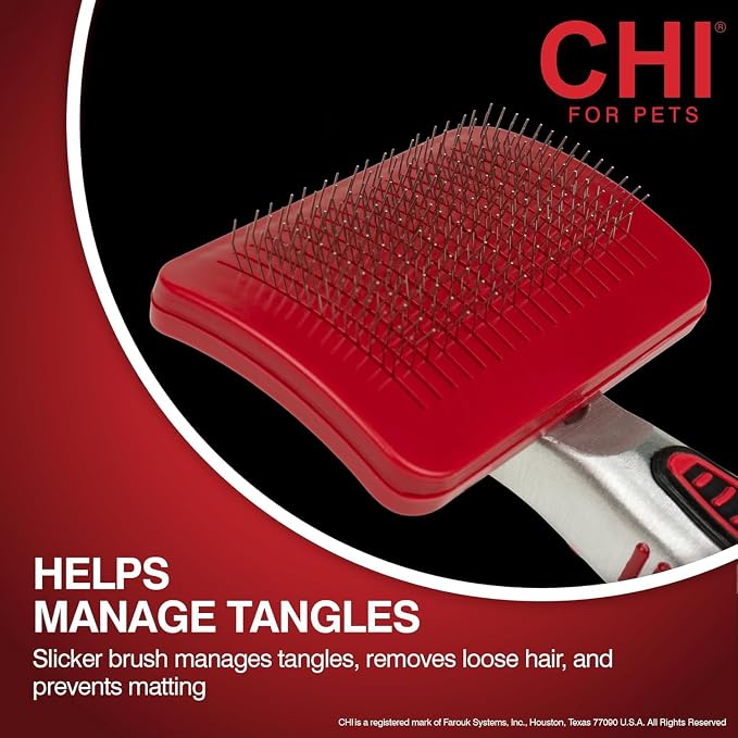 CHI for Dogs Self-Cleaning Slicker Brush, Small Size, 3-Pack | Pivoting head design, fine wire pins, detangles and removes loose hair, for small breed dog coats daily