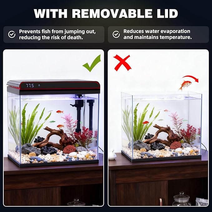 Coospider 20 Gallon Glass Fish Tank, Aquarium Starter Kit, Simple Self-Cleaning Aquarium with 3-Color LED Lights, with Quiet Filter Pump, with Temperature Monitoring for Fish, Shrimp, Kids Gift Ideas