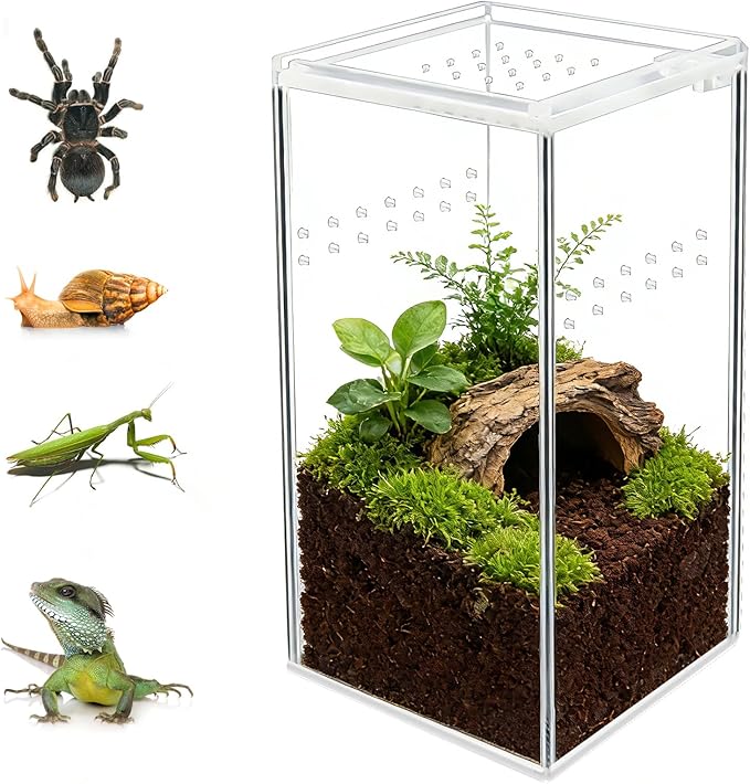 Small Acrylic Reptile Terrarium Kit, Acrylic Tank with Lid 3x3x6 Inch Clear Habitat Enclosure for Spider,Tarantula, Gecko, Hermit Crab, Frog and Insects Easy Assembly One-piece Leak-Proof