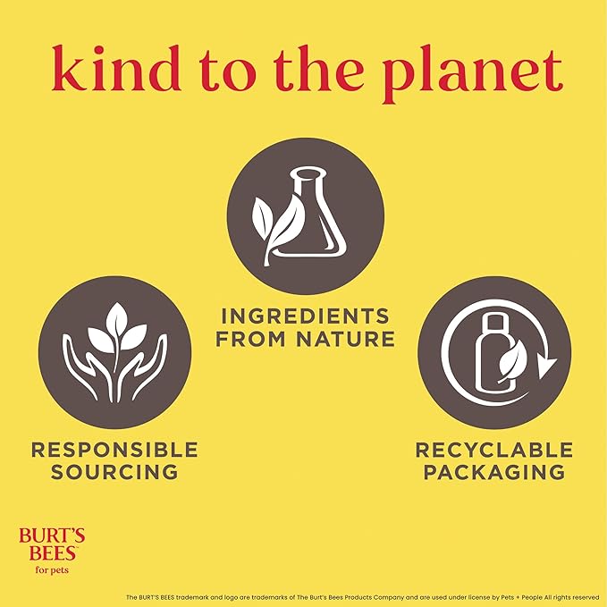 BURT'S BEES FOR PETS Itch Soothing Dog Shampoo for Itchy Skin, pH Balanced Honeysuckle with Skin-Conditioning Honey, 95%+ Natural Origin Formula, No Sulfates, Fragrances, or Colorants, 16 Fl Oz