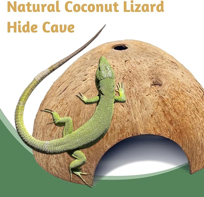 PINVNBY 6 PCS Natural Coconut Reptile Hideouts Lizard Coco Hut Hermit Crab Hut Aquarium Fish Hide Cave Spider Snail Climber Toys
