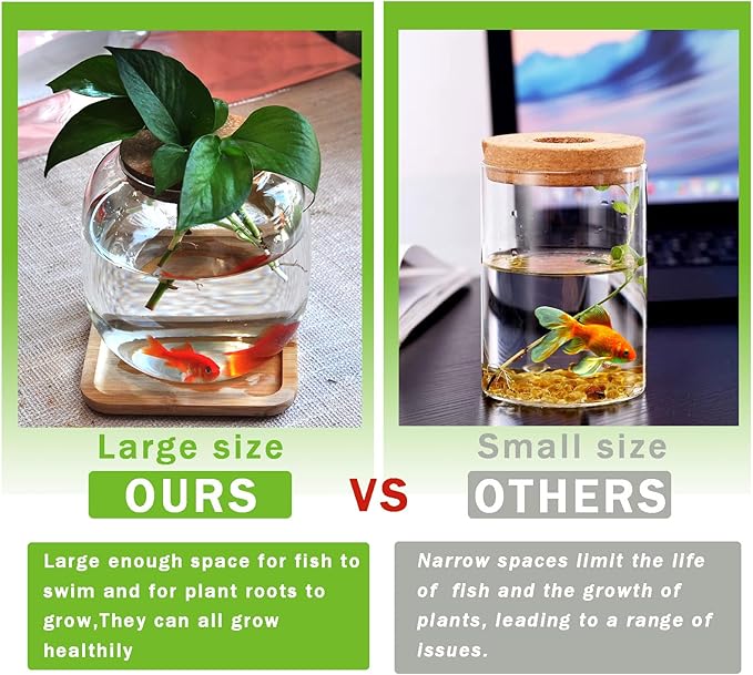 Betta Fish Bowl Glass Small Fish Tank with Bamboo Stand, Plant Propagation Station Hydroponic Terrarium with Lid beta Fish Aquariums 0.6 Gallon