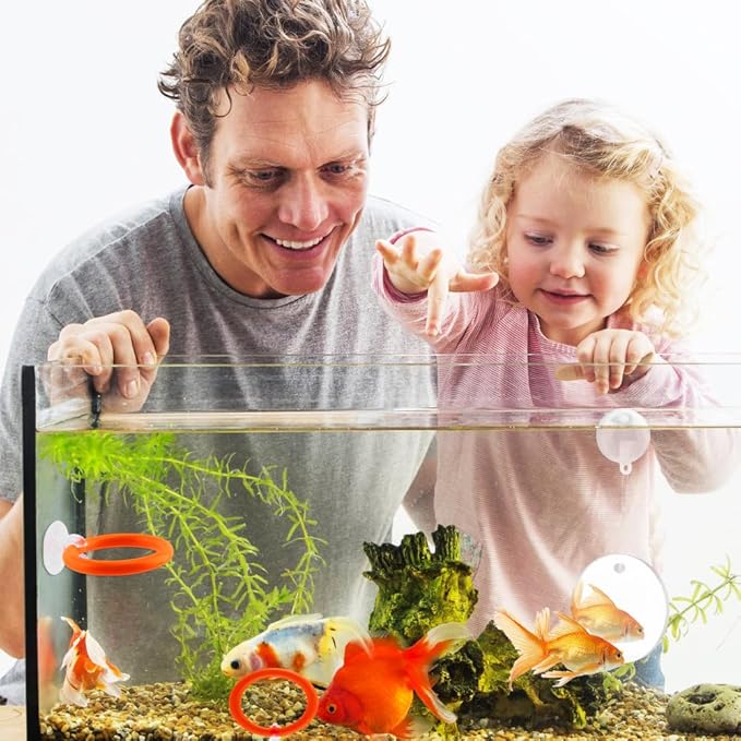2pcs Bettas Fish Enrichment Toys Ring, with Mirror/Floating Ball, Exercise Floating Mirrors and Training Ring for Fish Tank, Aquarium Feeding Rings Accessories (Orange)