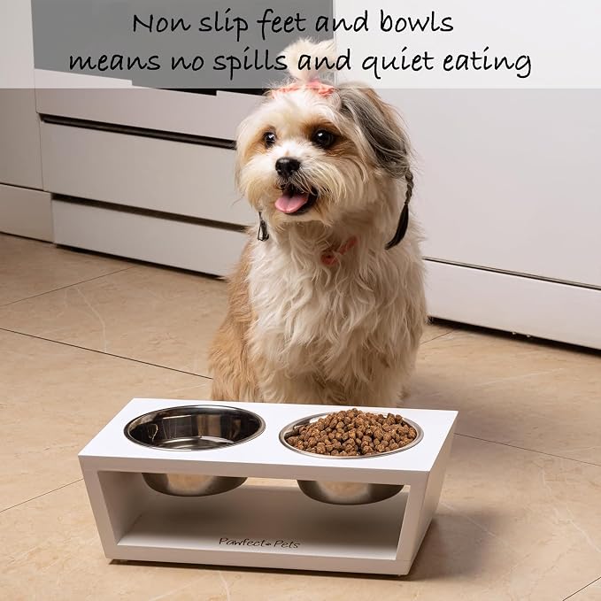 4" Tall Elevated Dog Bowls for Small Dogs and Cats. Raised Dog and Cat Food and Water Bowl Set by Pawfect Pets (White)
