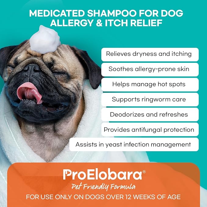 Medicated Dog Shampoo for Allergies and Itching: Antifungal Dog Shampoo, Yeast Infection and Bacterial Treatment for Dogs - Helps Hot Spots, Deodorizing and Anti Itch - Healthy Skin & Coat 16 OZ