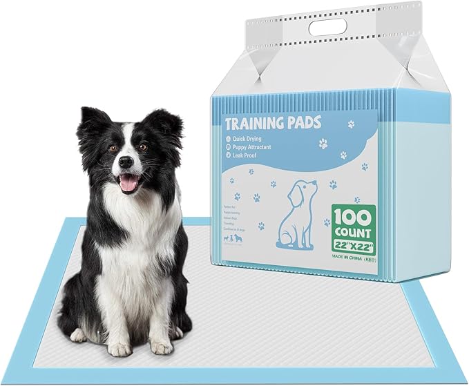 DUMOS 100 Count Puppy Dog Pads, Disposable Dogs Potty Pee Training Pads | 6-Layer Super Absorbency, Disposable Pet Leakproof Quick Drying, 22"×22"× Regular Size