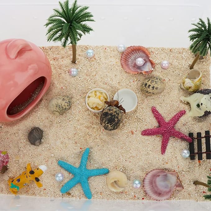 DQITJ 8 Pcs Hermit Crab Ceramic Water Bowl, Tarantula Mini Food Dish for Hermit Crab Tarantula Spider Millipede Tiny Bugs