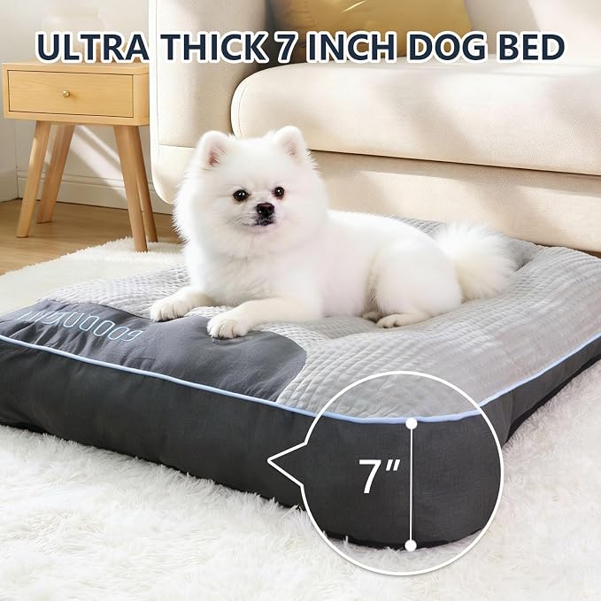 Small Dog Bed 24" x 18" for Small Dogs & Indoor Cats, Washable Calming Pet Bed with Soft Plush Cushion, Non-Slip Bottom, Cozy Puppy & Kitten Bed for Cats and Small Pets, Grey