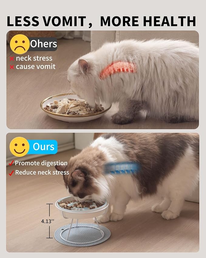 Ceramic Elevated Slow Feeder Cat Bowl, Anti Vomit, Removable Dish, Black | Removable Ceramic Bowl Slow Feeder Anti Vomit Whisker-Friendly Wet & Dry Food