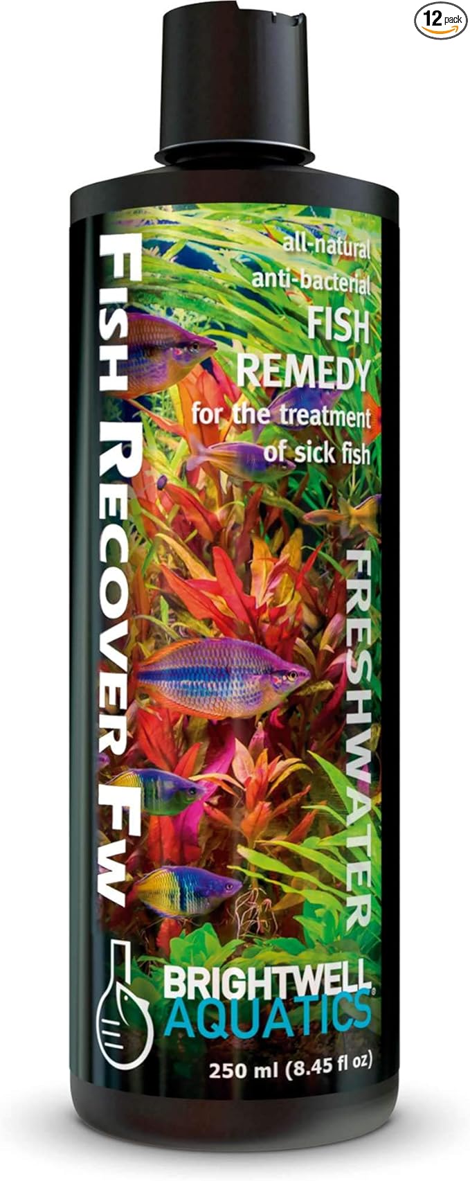 Brightwell Aquatics Brightwell Fish Recover FW - All-Natural Fish Remedy for Treating Sick Freshwater Fish, 250 ml