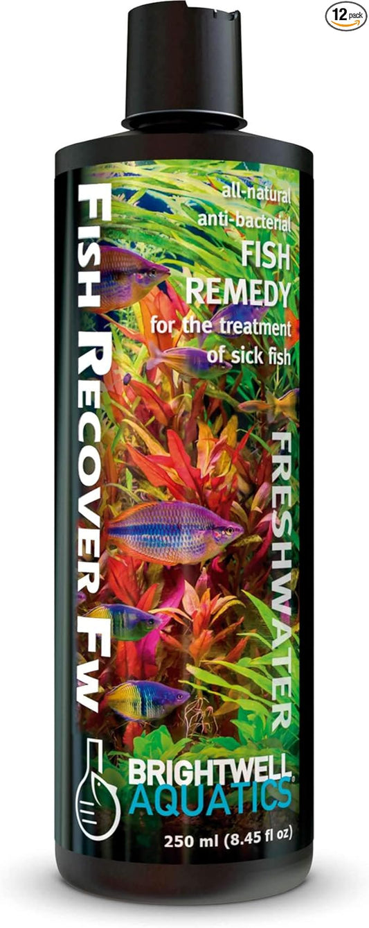 Brightwell Aquatics Brightwell Fish Recover FW - All-Natural Fish Remedy for Treating Sick Freshwater Fish, 250 ml