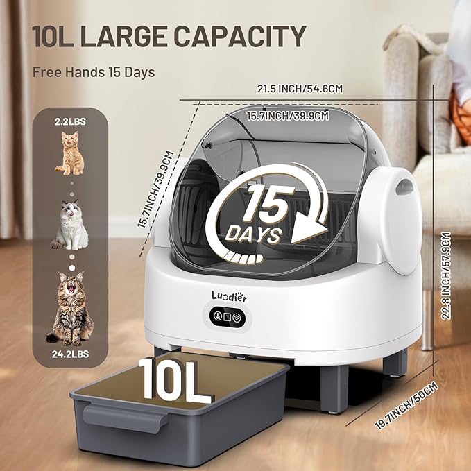 Automatic Litter Box, Open Top Large Self Cleaning Cat Litter Box for Multiple Cats, with APP Control/Multiple Safety Sensors/Trash Bag/Litter Mat, Cat Box Automatic Cleaning White