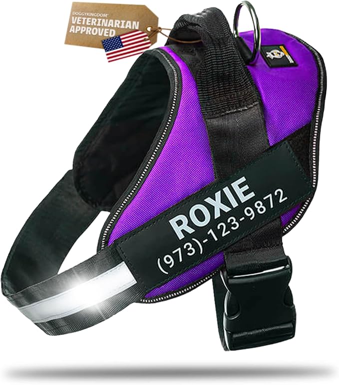 Personalized Dog Harness with Custom Name Patches, Adjustable Reflective No Choke Dog Vest with Handle for Medium Sized Dog, Purple, M