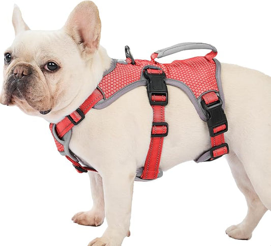 Escape Proof Dog Harness, Dachshund Harness, Reflective Dog Harness with Handle, Durable,Adjustable Vest for Small Medium Large Dogs Walking, Training, and Running Gear (Red,M)