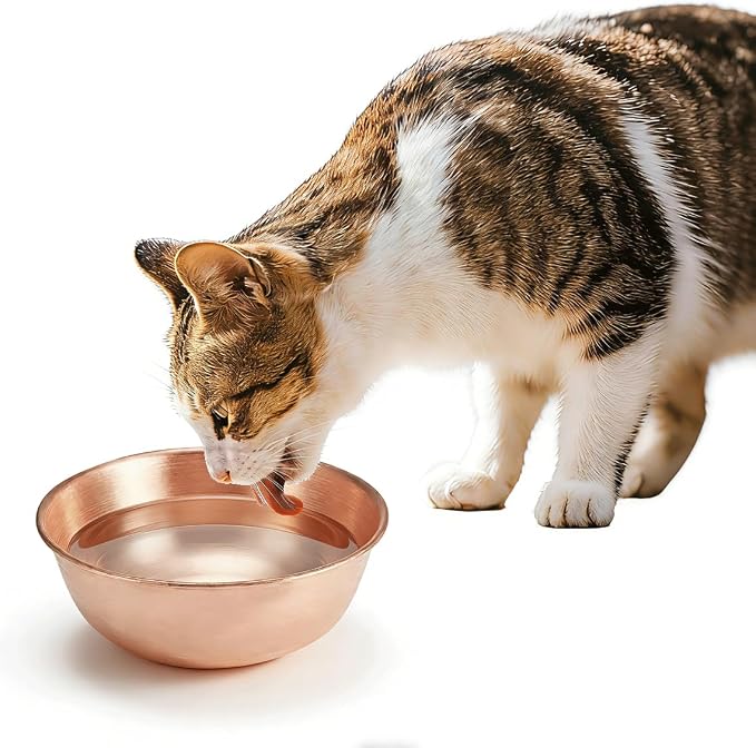 99.99% Pure Copper Pet Bowl, 5-Inch Copper Dog Bowl. This is A Small Copper Bowl Suitable for Small Household Pets. (1)