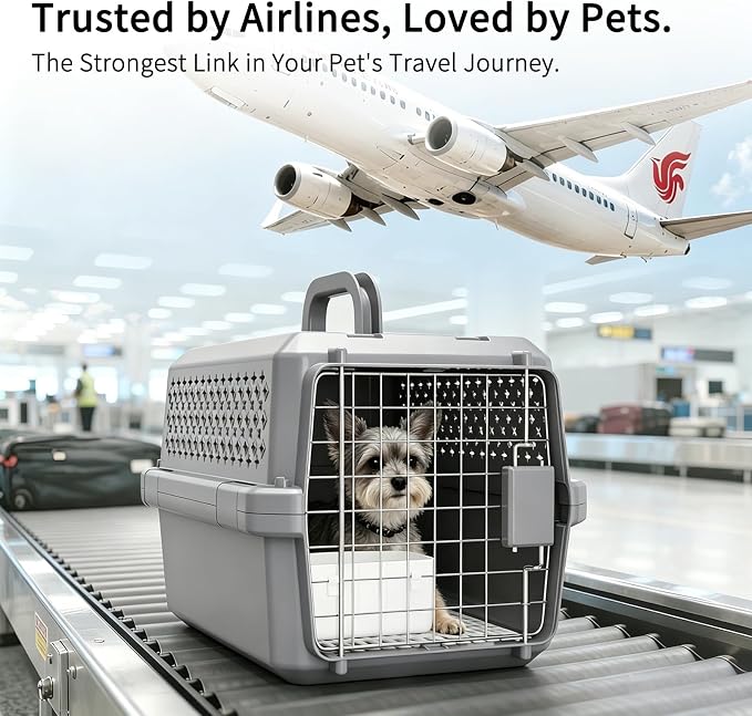RIZZARI Portable Cat Carrier for Small Cats & Dogs:Secure Hard-Sided Pet Carrier with Ventilation - Metal Door & Carry Handle for Travel - Vet Visits & Daily Use