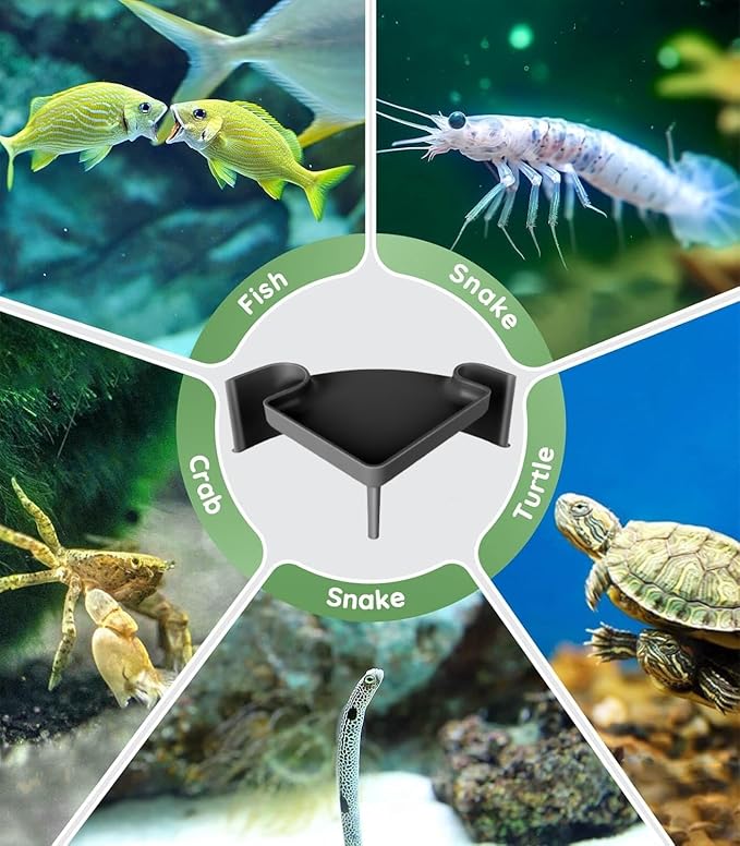 CPLIKE Underground Aquarium Cave with Viewing Window – 2-Hole Corner Fish Tank Hideout for Plecos, Cory Catfish, Kuhli Loach, Shrimp & Betta – Safe Decor for Bottom Dwellers – Sinkable & Non-Toxic
